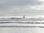 JT00090 Marijn Surfing.JPG